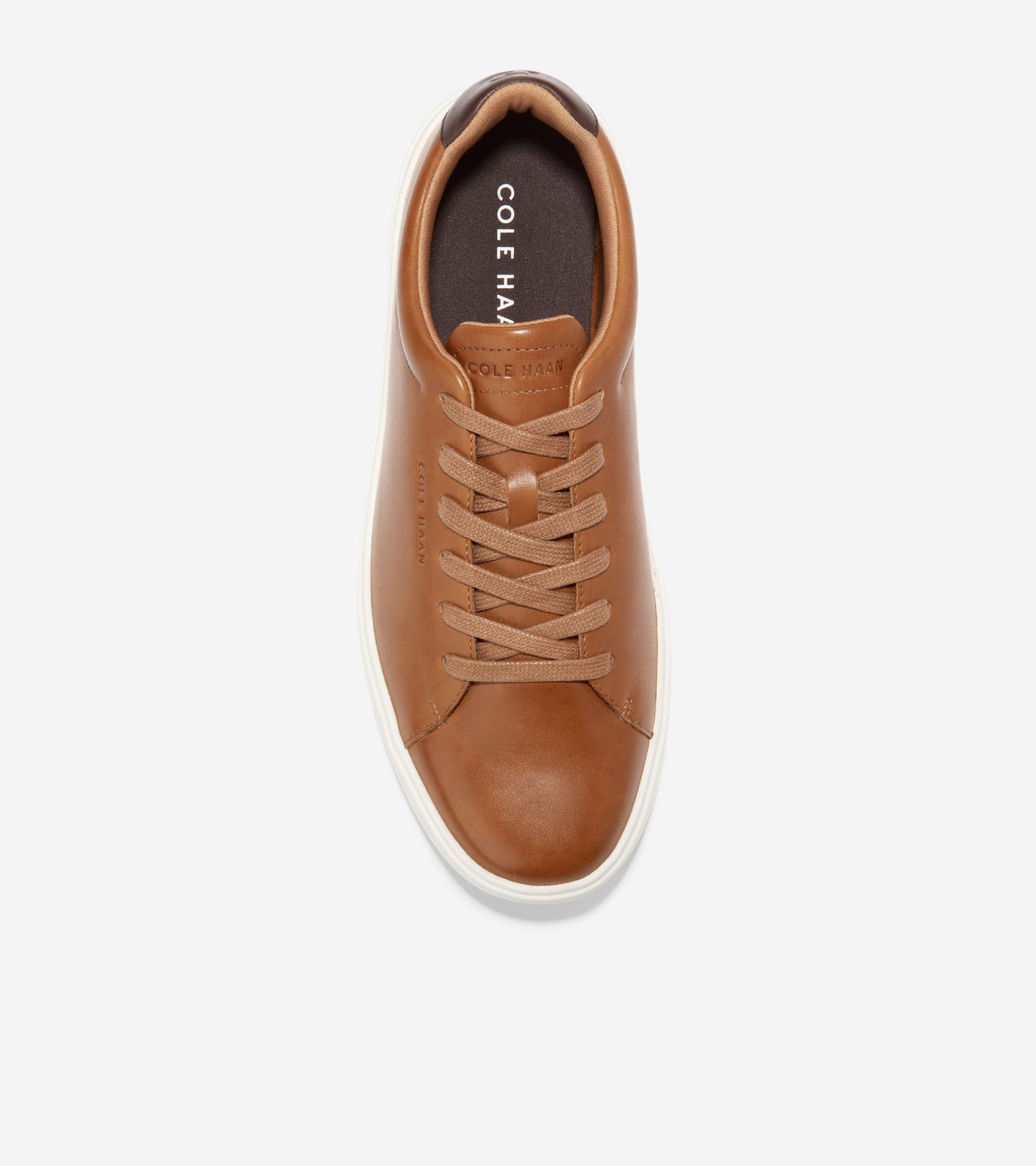 C36657:BRITISH TAN/CH DARK CHOCOLATE/EGRET