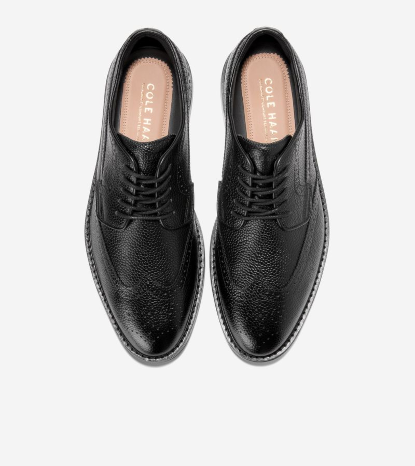 Men's Judson Grand Wingtip Oxford