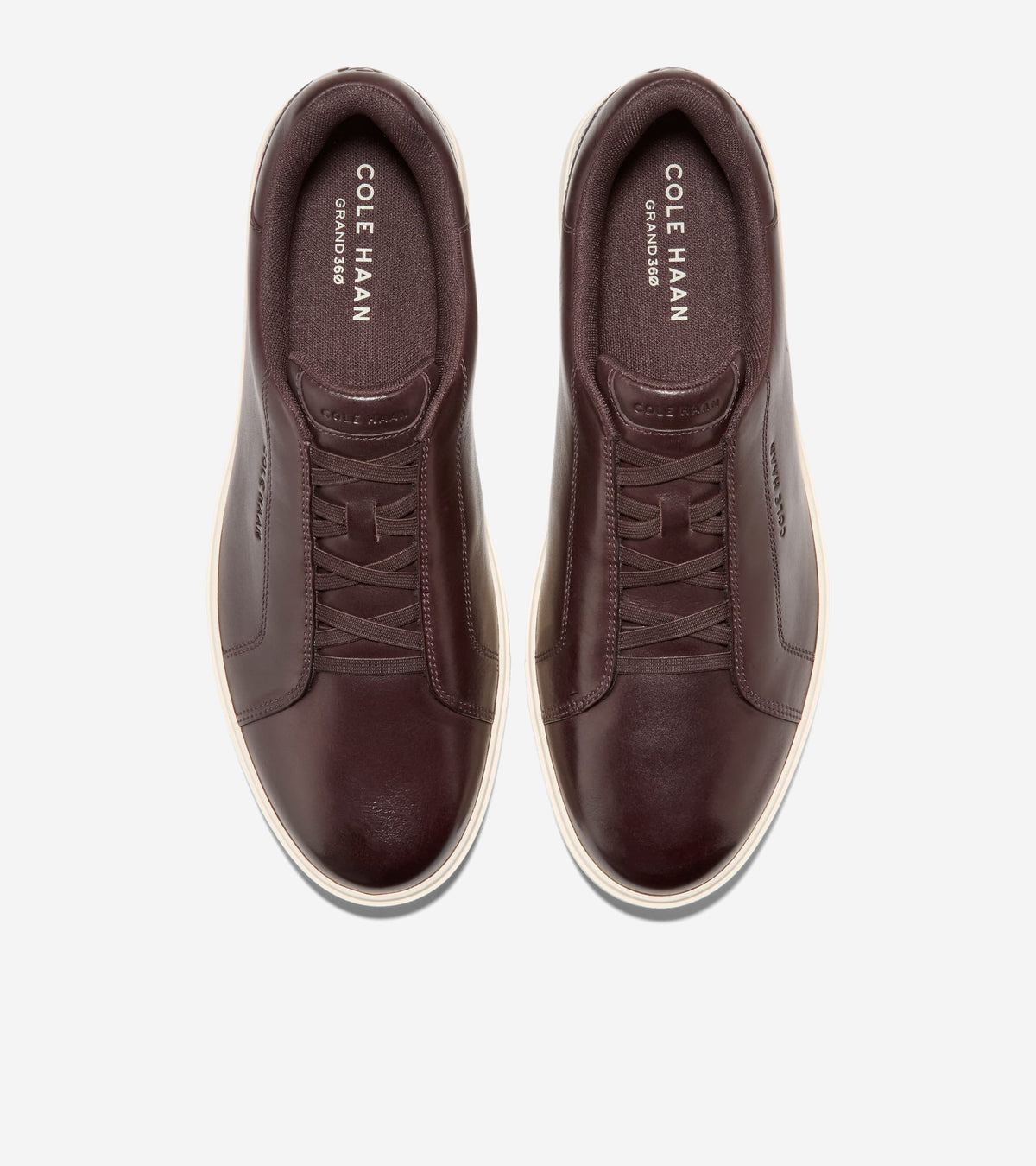 C41185:CH DK CHOCOLATE / IVORY