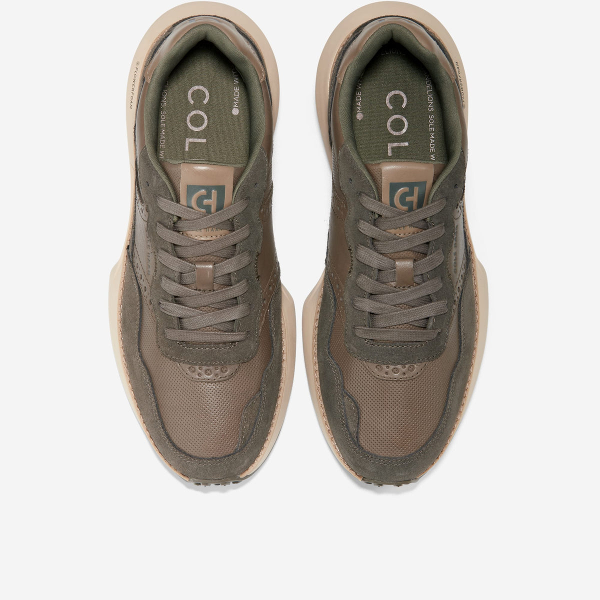 C38474:MOREL/CH DEEP OLIVE/IRISH COFFEE
